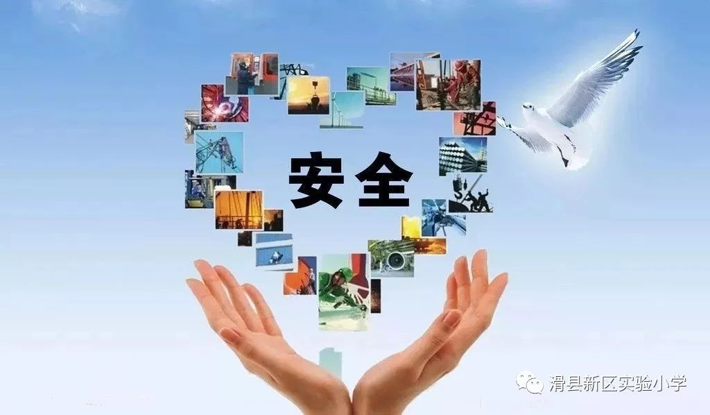 cad2a0cf476e1c2acd25a4a8b2840eb5.jpg
