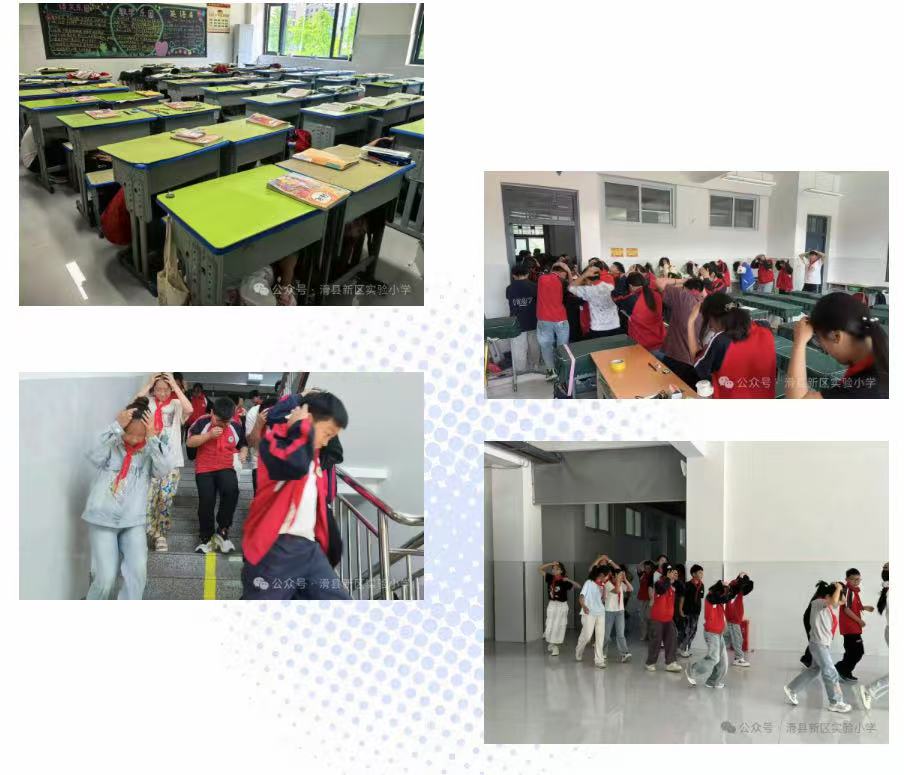 1747211889183597.jpg 51ce01eabde6bcfe934d18e45e1f4c7.jpg